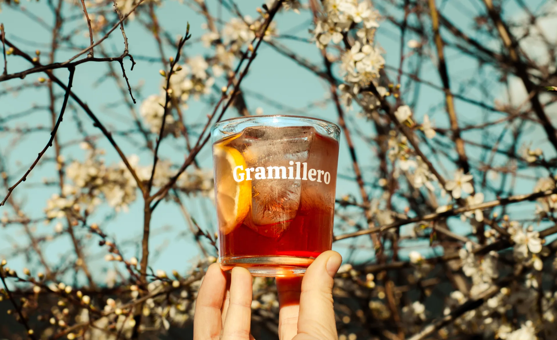 Vaso de Gramillero Rosado con hielo y pomelo entre ramas en flor